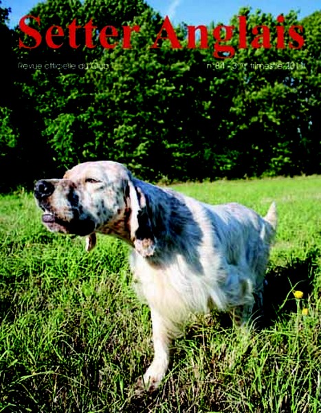 7 Couverture CSA n84 copie 400 3T 2011